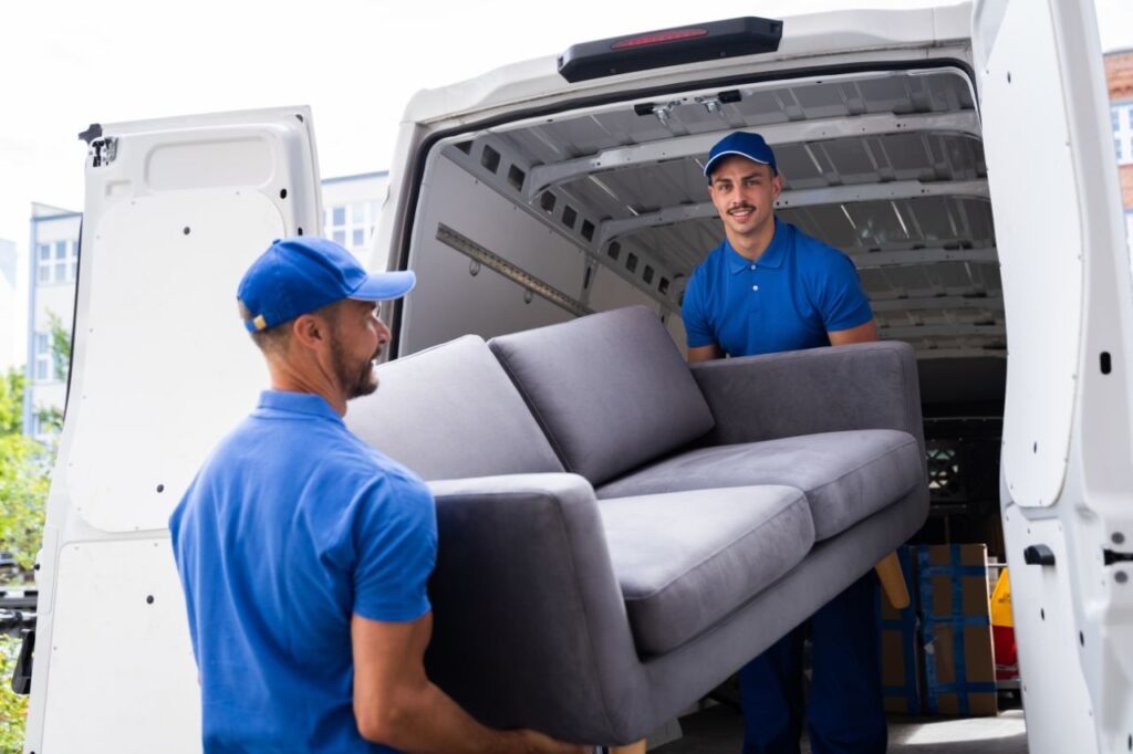 furniture removalists